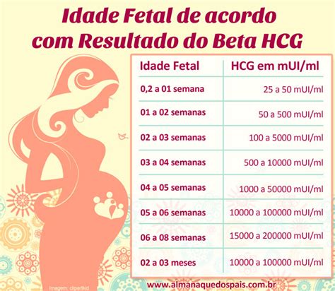 beta hcg 24000